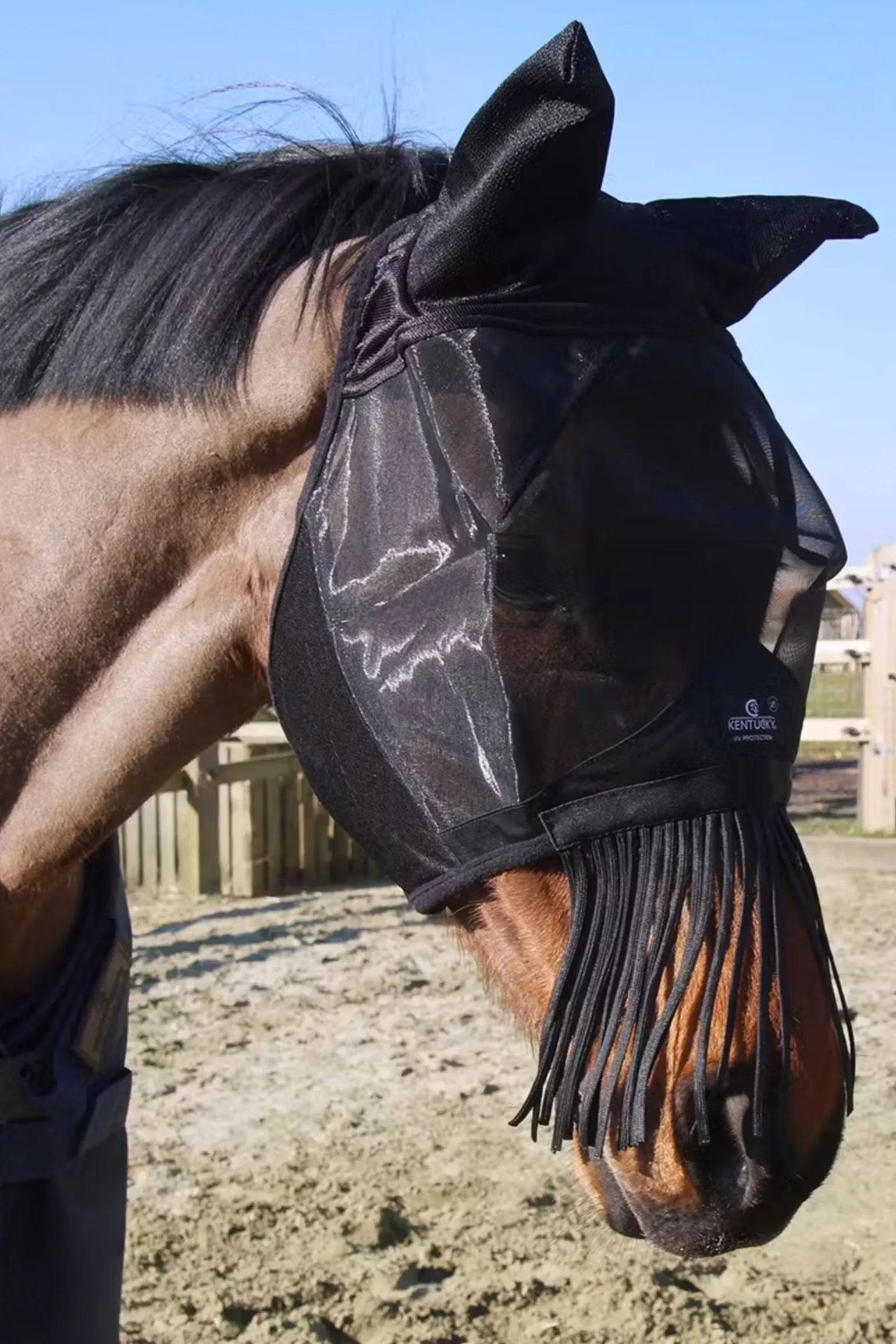 Fliegenmaske Classic mit Ohren und Nüsternfransen