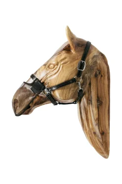 Fliegennetz für die Nüstern