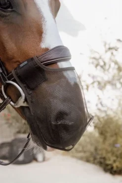 Fliegennetz für die Nüstern