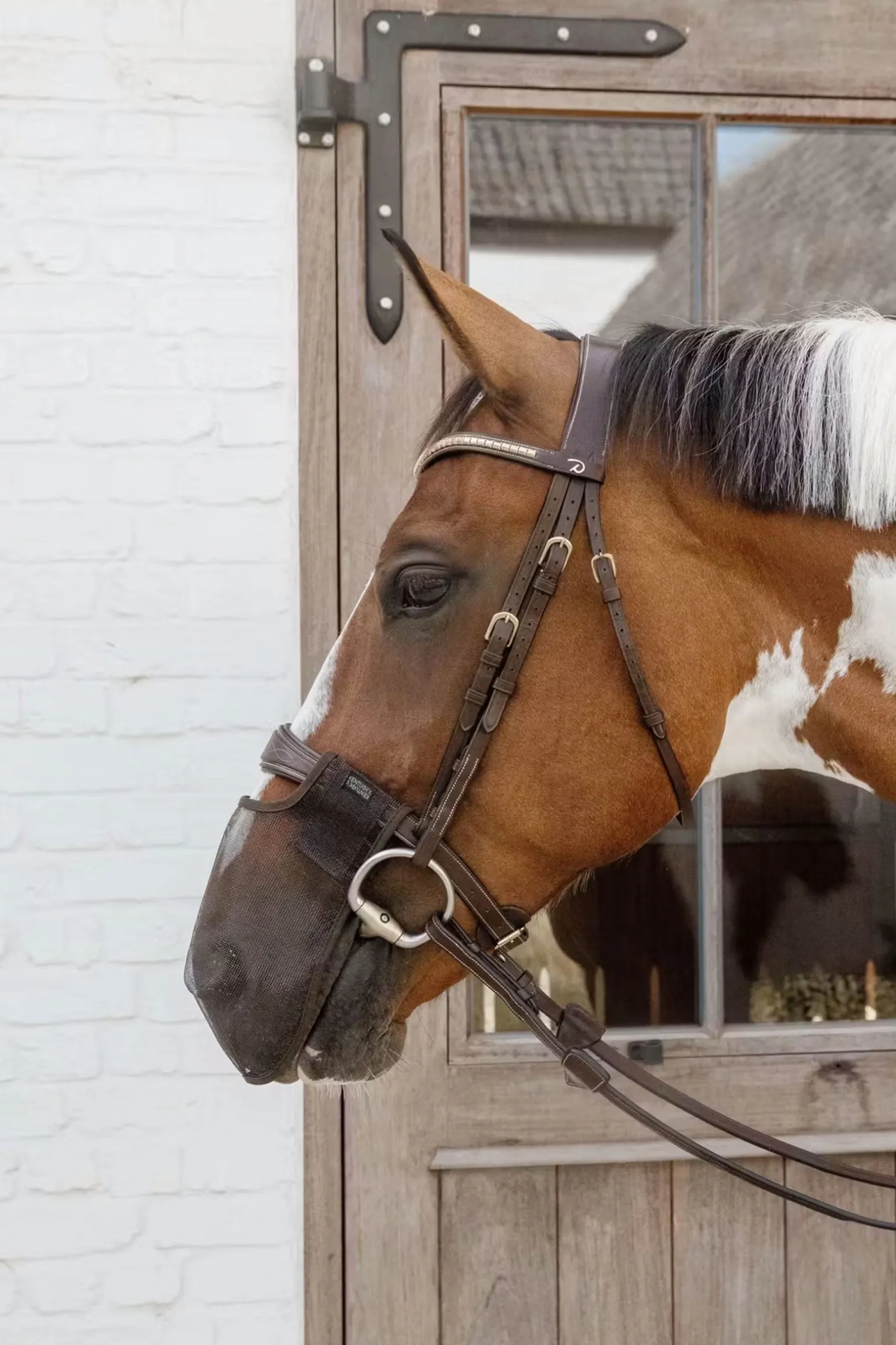 Fliegennetz für die Nüstern