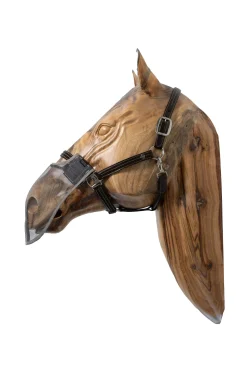 Fliegennetz für die Nüstern