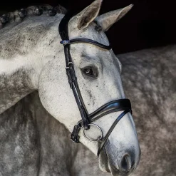 Flying Change Trense