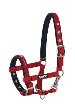 Foal Halter