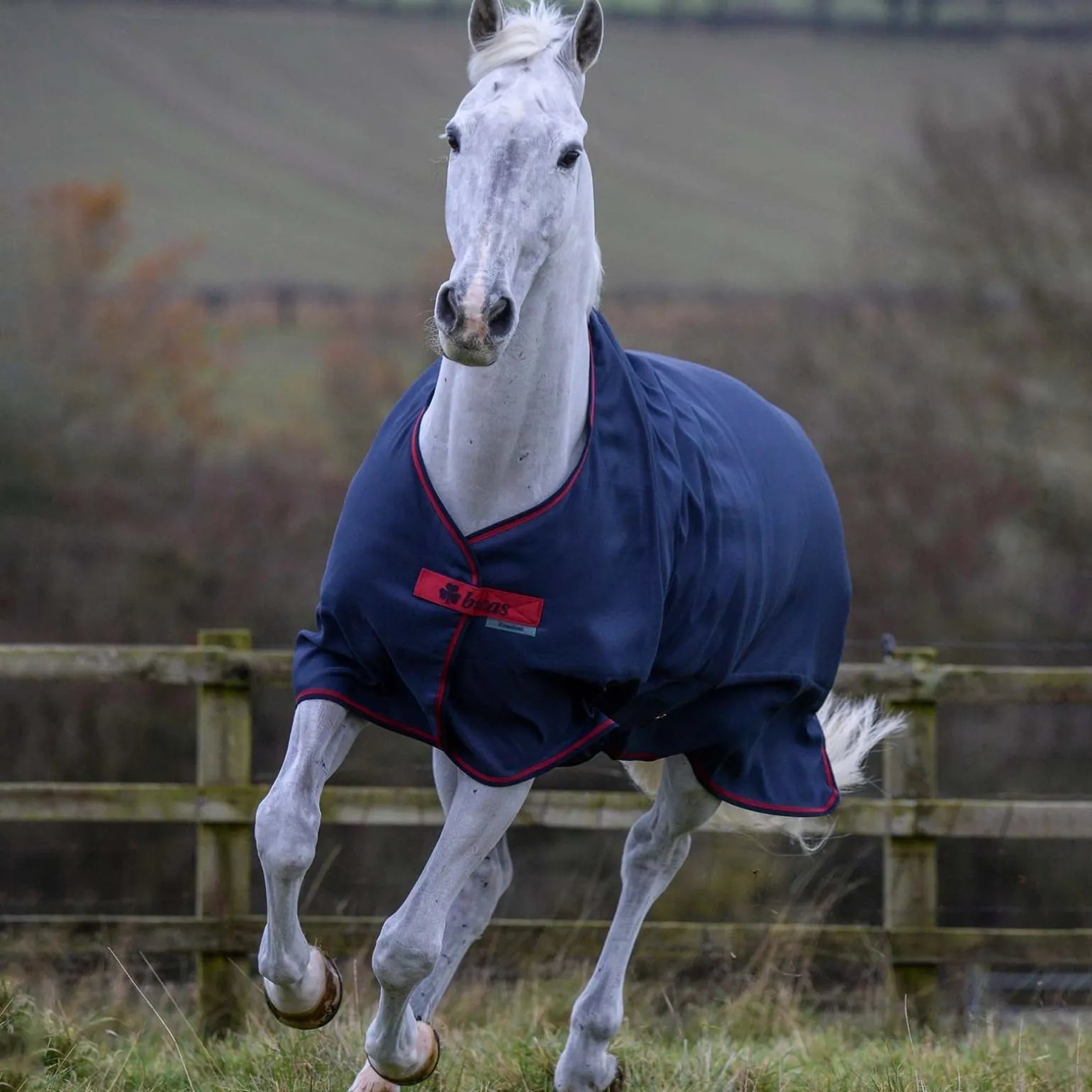 Freedom leichte Weidedecke, 0g