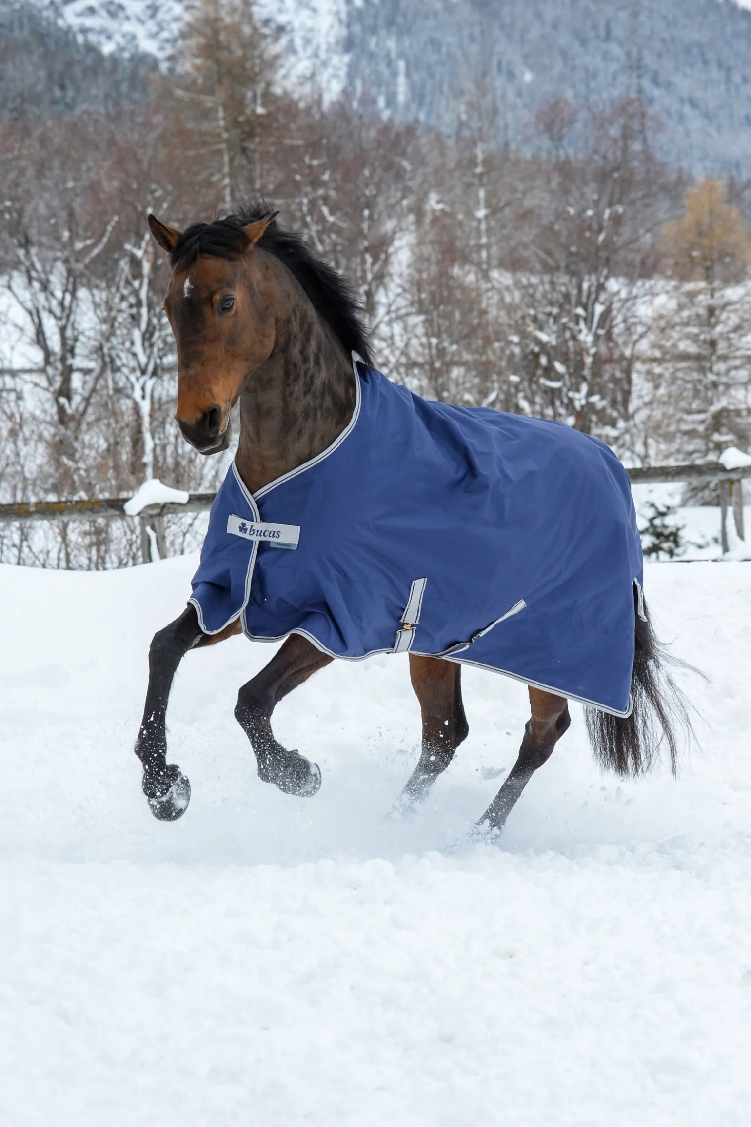 Freedom Weidedecke, 300g