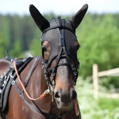 Gesichts-Haube mit Ohren