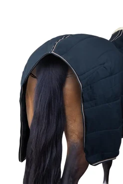 Glasgow Ponys Stalldecke