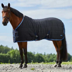 Glasgow Stalldecke / Unterdecke, 100g