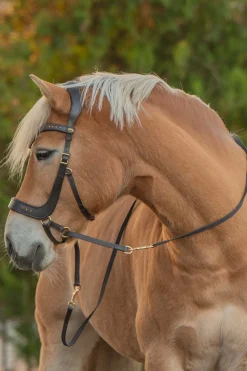 Glory gebisslose Trense mit Zügeln (System 4)