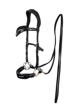 Glory Hackamore Zaum mit Zügeln (System 2), schwarz