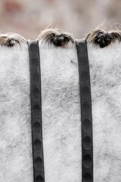 Gummizügel mit Daumengriff