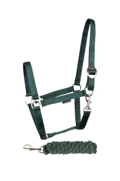 Halfter-Set Einsteiger