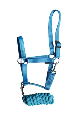 Halfter-Set Einsteiger