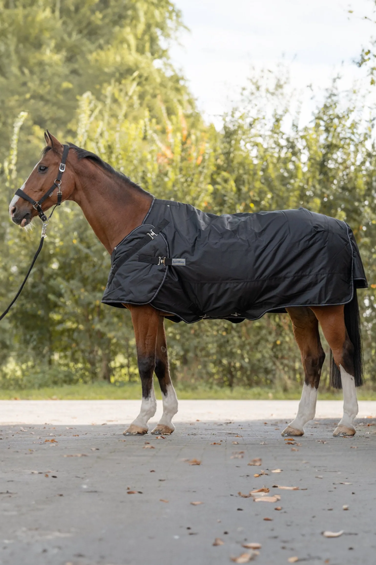 Halifax 2in1 Weidedecke und Führanlagendecke 200g