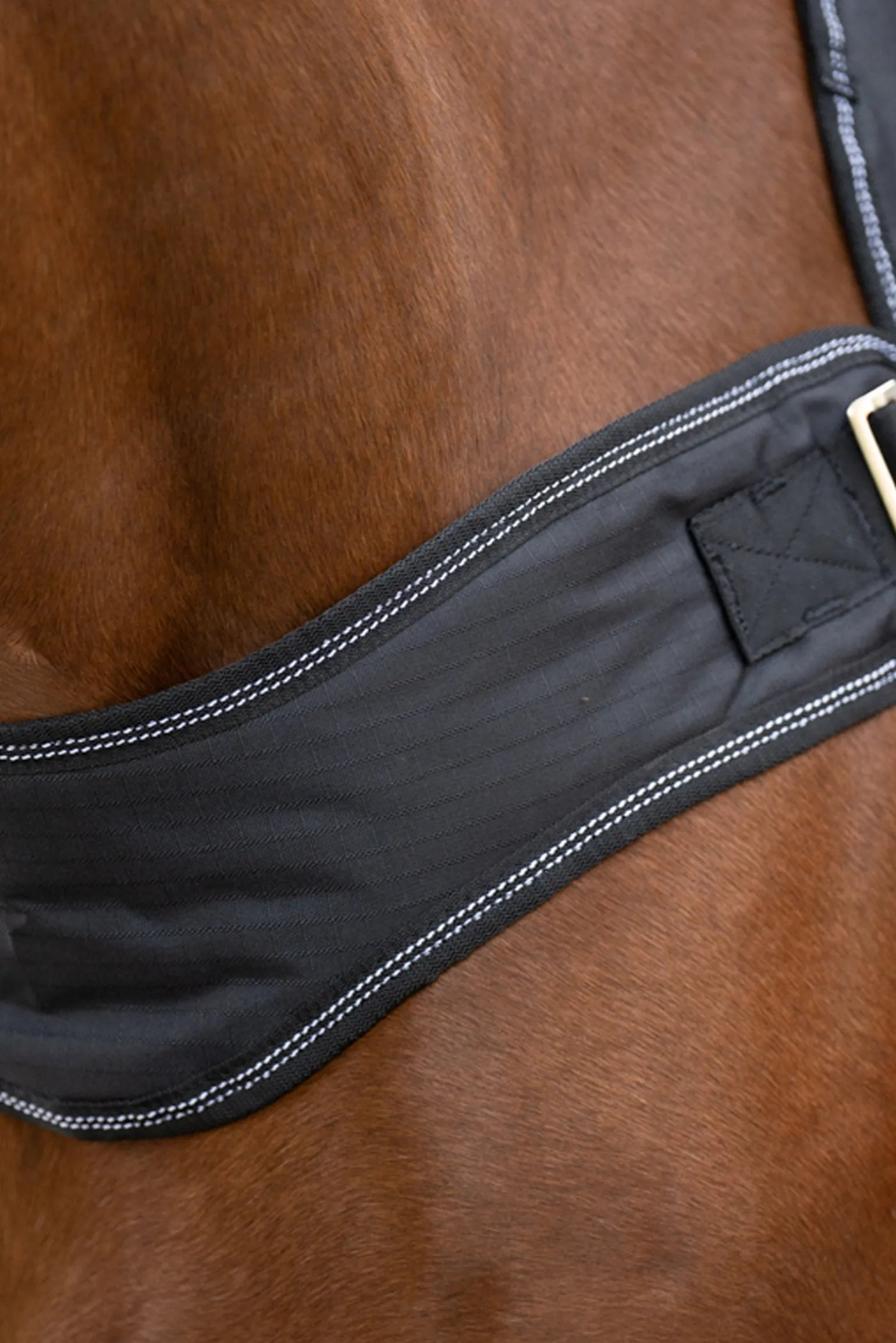 Halifax 2in1 Weidedecke und Führanlagendecke 200g