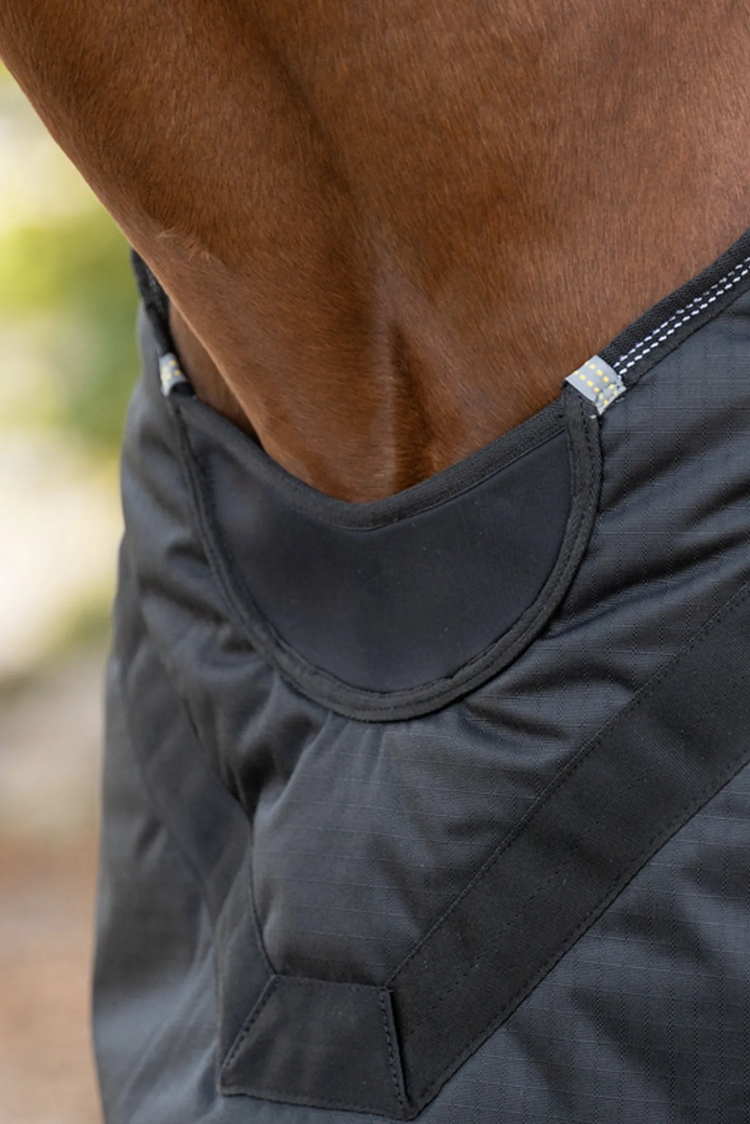 Halifax 2in1 Weidedecke und Führanlagendecke 200g