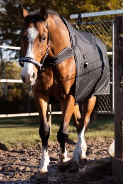 Halifax 2in1 Weidedecke und Führanlagendecke 200g