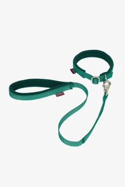 Halsband und Leine für Spielzeughund