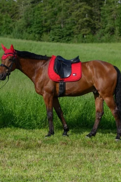 Harvard Dressurschabracke