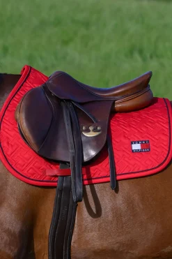 Harvard Springschabracke