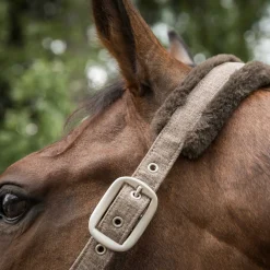 Haze Kollektion Halfter