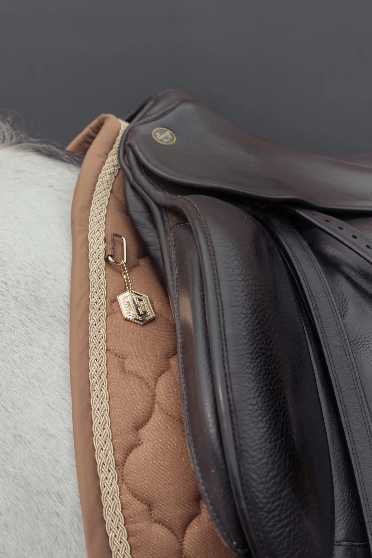 Heritage AW24 Cotton Glitter Vielseitigkeitsschabracke