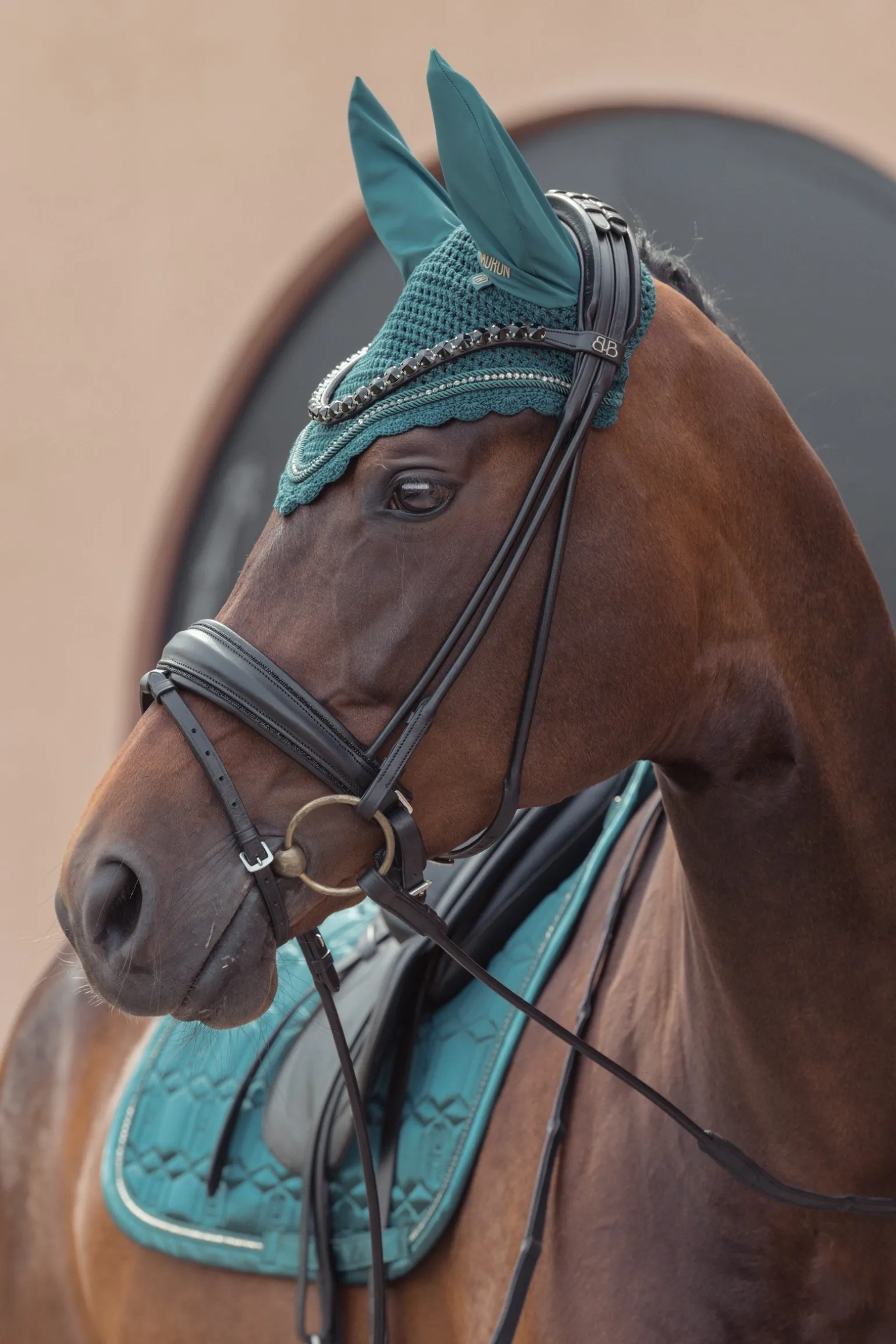 Heritage AW24 Crystal Fliegenohren