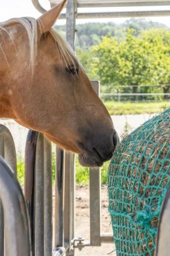 Heunetz für Rundballen, hängbar