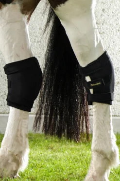 Hock Gamasche, rechts