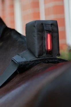 Horselight Bauchgurt mit rotem Rücklicht