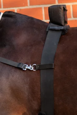 Horselight Bauchgurt mit rotem Rücklicht