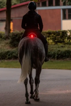 Horselight rotes Rücklicht für den Sattel