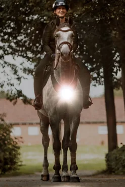 Horselight Vorderzeug- und Sattelleuchte, Set 1