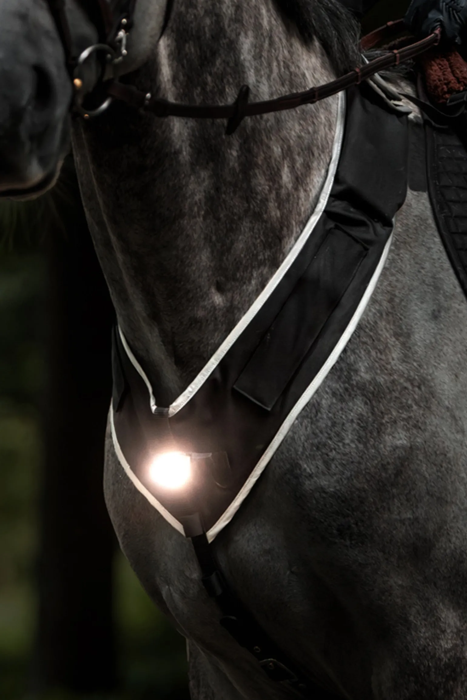 Horselight Vorderzeug- und Sattelleuchte sowie Beinmanschetten, Set 2