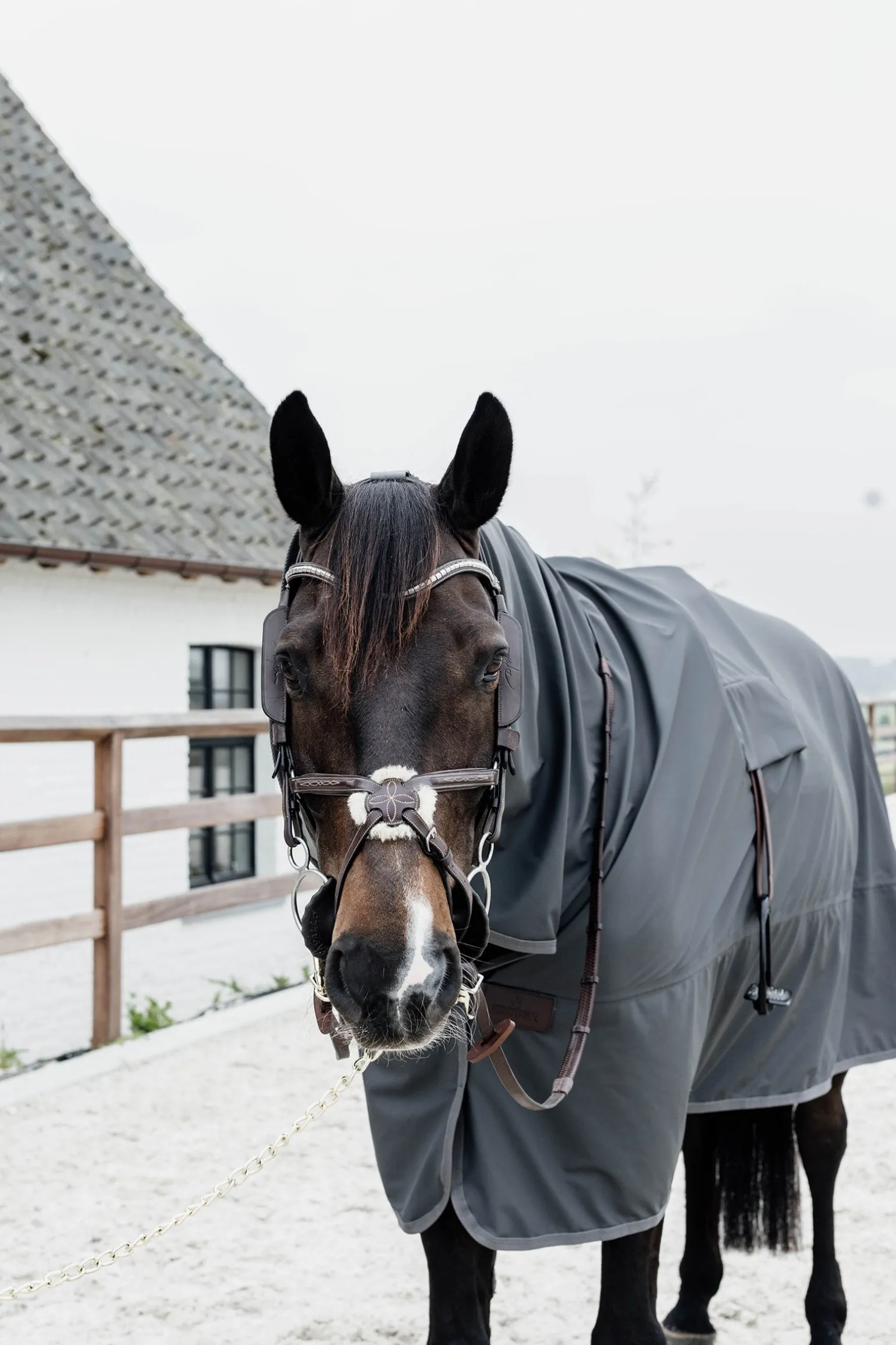 Hurricane Regendecke, 0g
