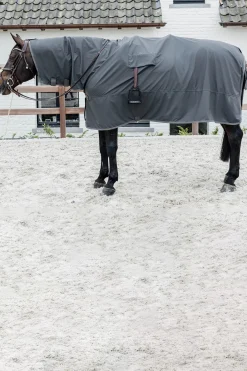 Hurricane Regendecke, 0g