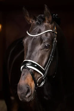 Ice Crystal Stirnriemen