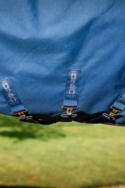 Ionic Therapy Weidedecke, 100g