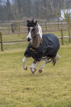 Irish Outdoordecke, 100 g