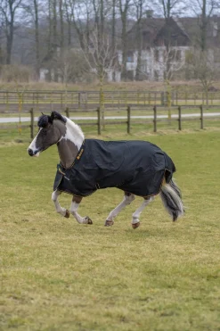 Irish Outdoordecke, 100 g