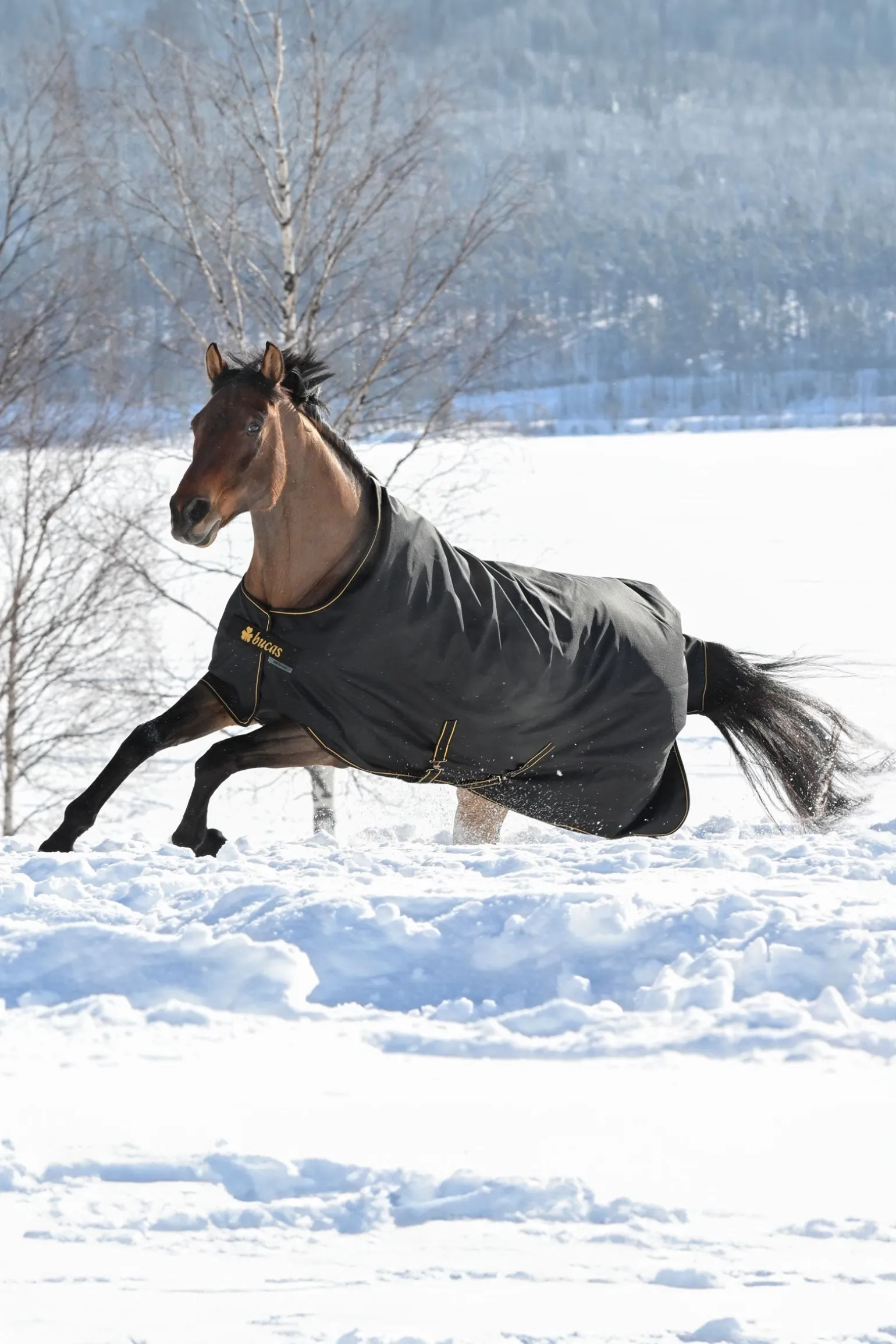 Irish Weidedecke, 300g