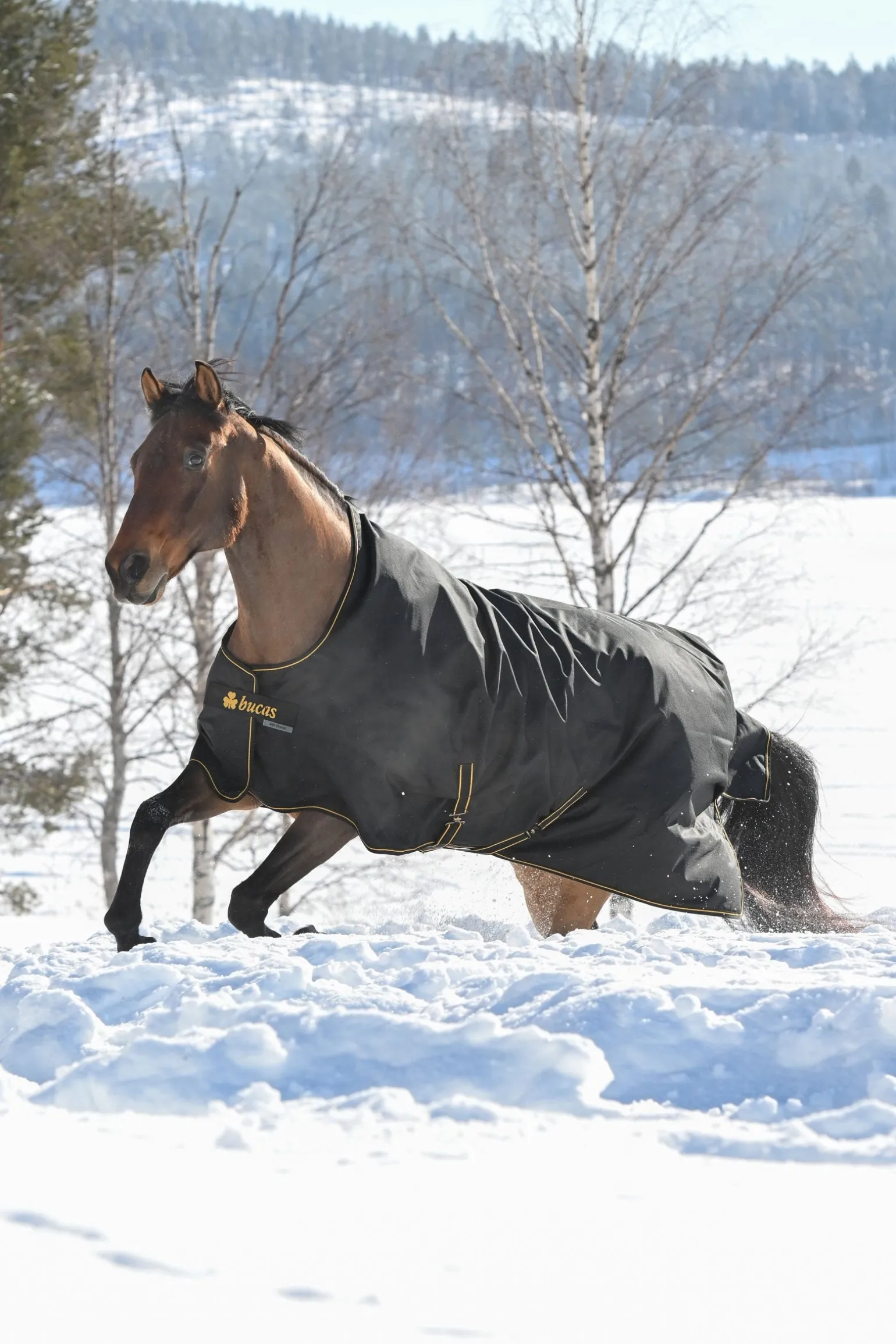 Irish Weidedecke, 300g