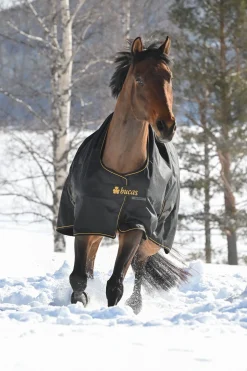 Irish Weidedecke, 300g