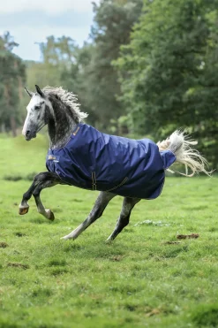 Irish Weidedecke, 50g