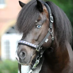 Island Classic Halfter