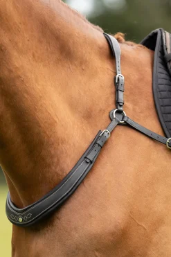 Jerome 2-Punkt Brustblatt