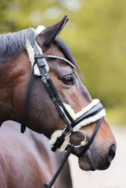 Joyce KavalSH4 Trense