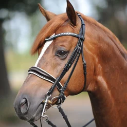 Kandare Antonia, schwed. RH, W