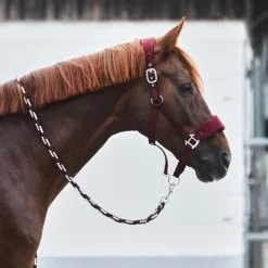 Kiel Halfter mit Fleece