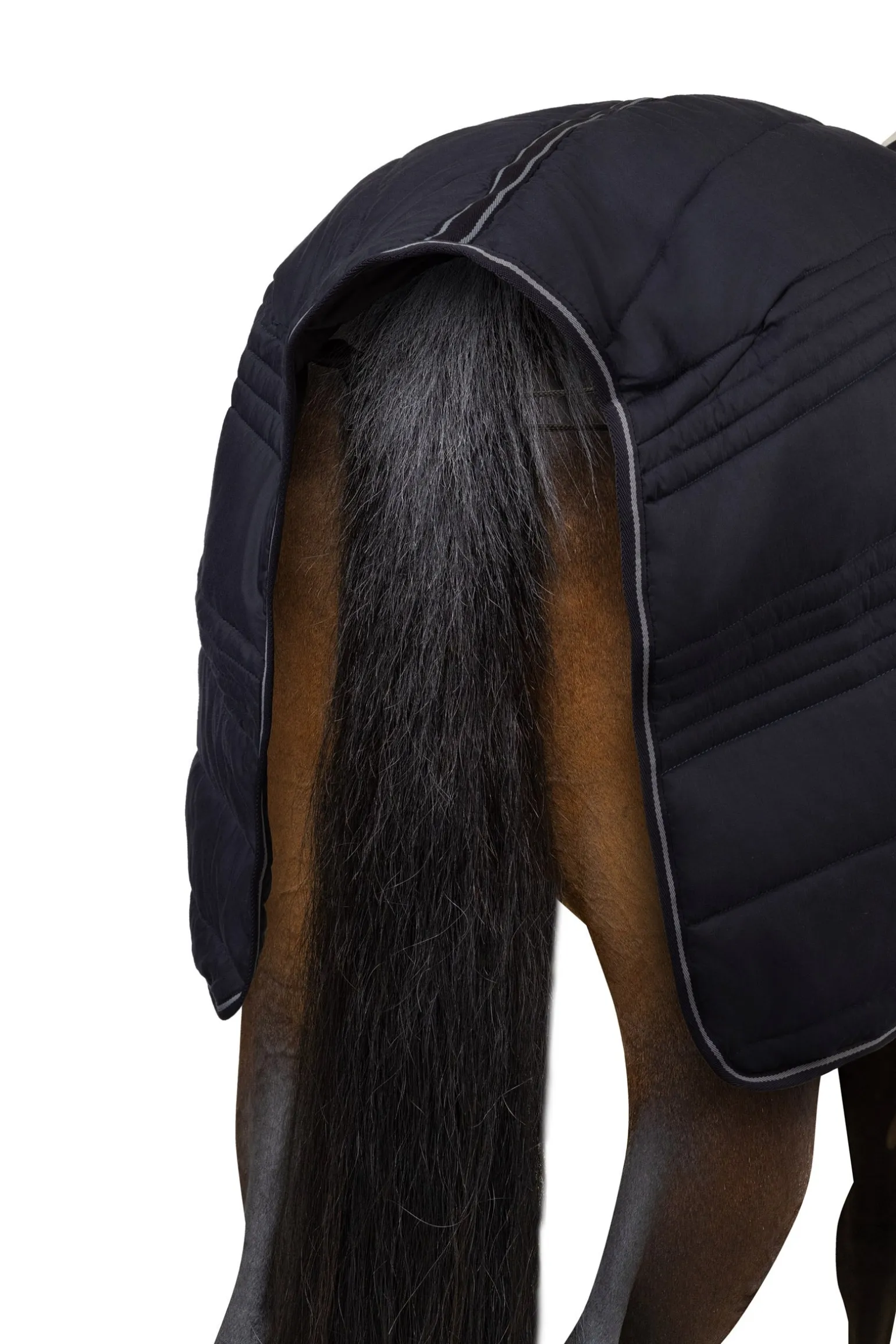 Kingsley Stalldecke, 150 g